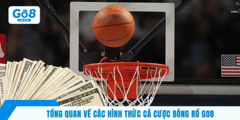 Tổng quan về các hình thức cá cược bóng rổ GO8
